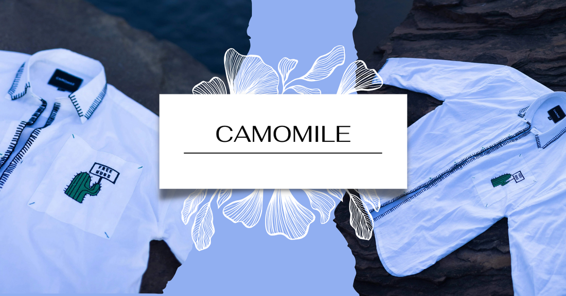 Best Affordable Women's Clothing Brands for Office Wear